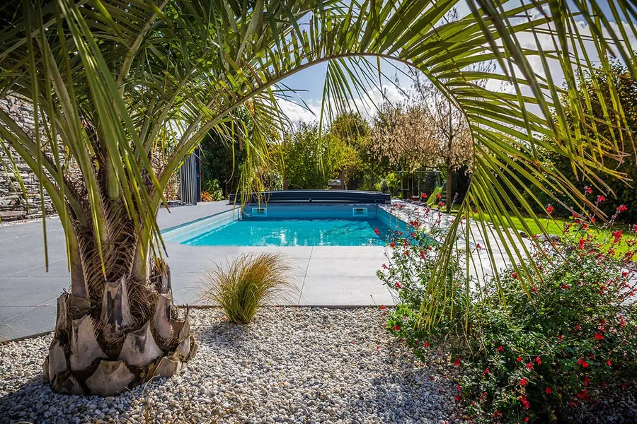 Pool mit Abdeckung, Kiesbeet, Palme und Rosen